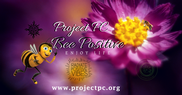 Project Positive Change
